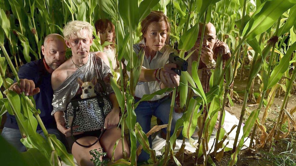 Von links: Kommissar Dennis Eden (Stephan Zinner), Peekabou (Meik van Severen), Tulip (Patrice Grießmeier), Kommissarin Cris (Johanna Wokalek) und Menora (Boži Kocevski) verstecken sich im Maisfeld. Foto: BR, Bantry Bay Productions GmbH/Jürgen Olczyk