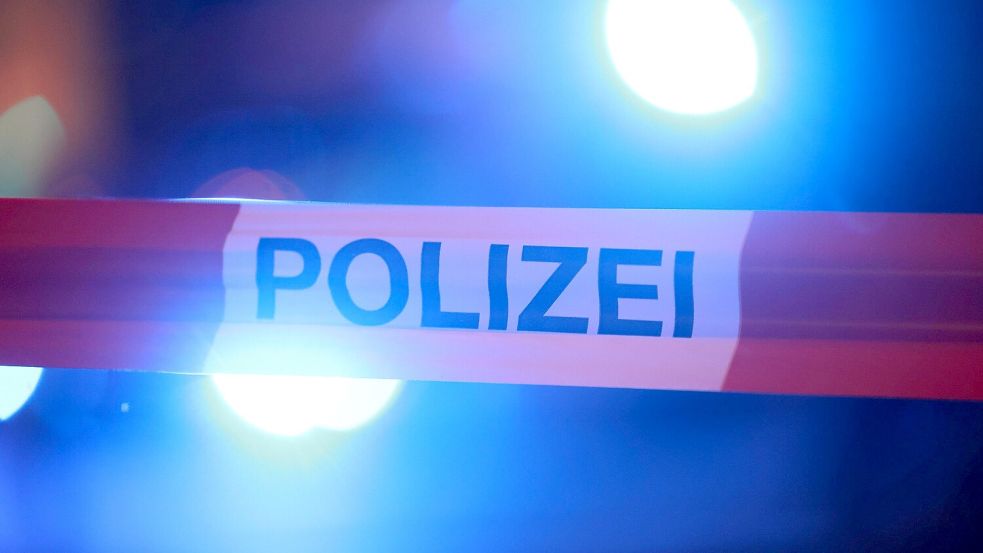 Eine junge Frau wird tot im Wald bei Laußnitz entdeckt: Im Fokus der Ermittlungen steht ein 16-jähriger Verdächtiger. Foto: dpa/David Young