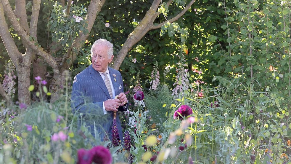 König Charles stützte sich beim Rundgang auf einen Stock. Foto: Toby Melville/Reuters Pool/AP/dpa