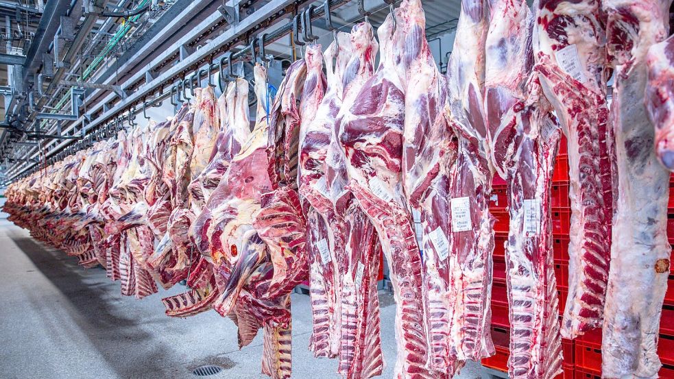 Nach Jahren rückläufiger Schlachtungen ist die Zahl der Schweineschlachtungen im vergangenen Jahr wieder leicht gestiegen. (Archivfoto) Foto: Jens Büttner/dpa