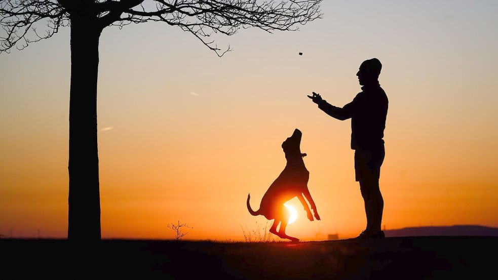 Hund statt Kind? Ganz so einfach ist es nicht. Foto: Julian Stratenschulte/dpa
