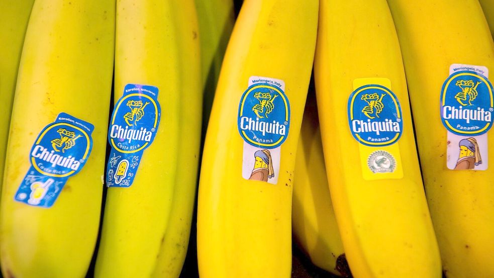 Bananen von Chiquita liegen in einem Supermarktregal in Bayern. (Archivbild) Foto: Sven Hoppe/dpa