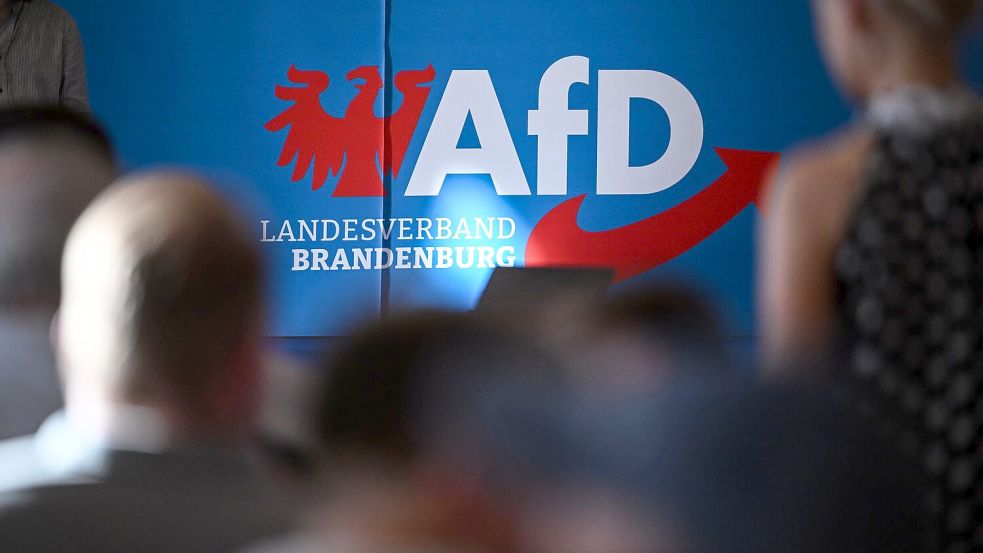 Die AfD in Brandenburg wehrt sich juristisch gegen ihre Hochstufung zur gesichert rechtsextremistischen Bestrebung. (Archivbild) Foto: Britta Pedersen/dpa