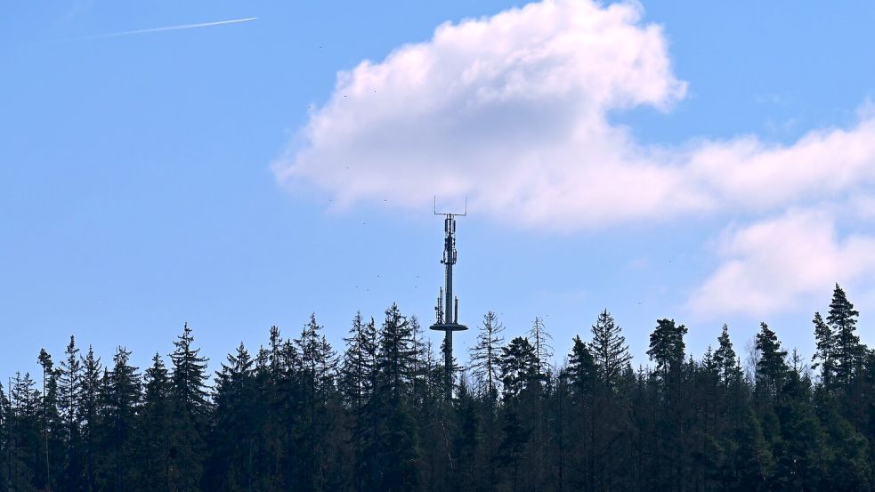 Hier gibt es Handynetz - anderswo fehlen hingegen noch Mobilfunkmasten im Wald, an Wiesen oder an Bauernhöfen. (Symbolbild) Foto: Martin Schutt/dpa