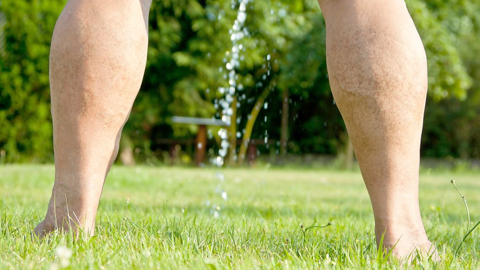 Urin kann ein guter Dünger sein - allerdings nicht unverdünnt. Foto: IMAGO/Dreamstime
