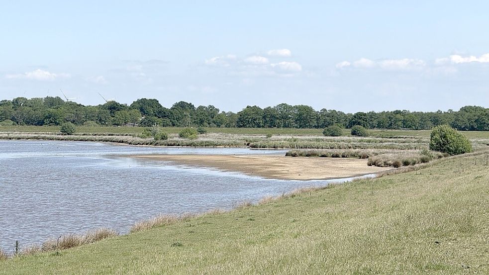 Im Entlastungspolder Holter Hammrich ist der Wasserstand niedrig. Foto: Hellmers