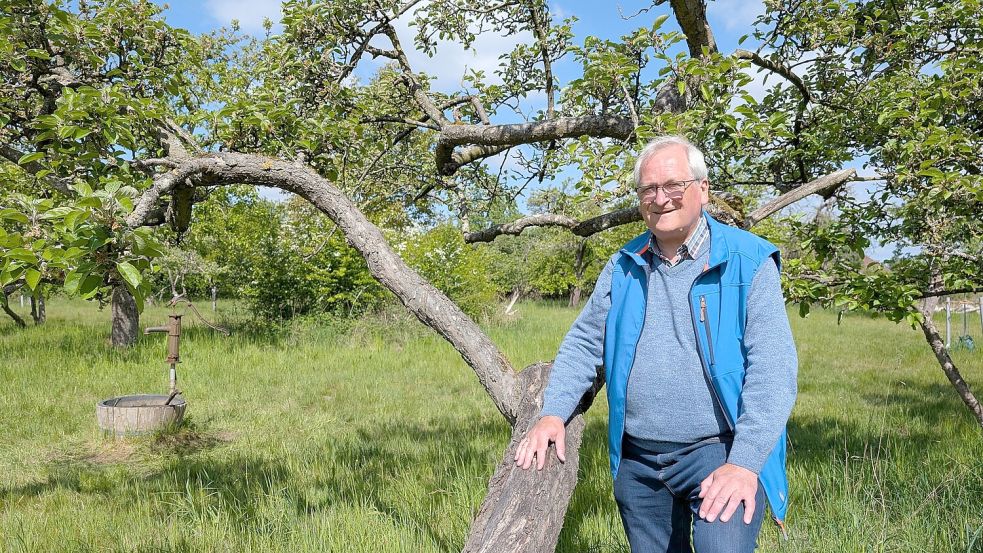 Wer seinen Apfelbaum optimal versorgen möchte, braucht Fachwissen. Burkhard Roese vom Verein Alte Obstwiese Neumünster weiß, was rund ums Jahr zu tun ist und gibt seine Tipps gern weiter. Foto: Dörte