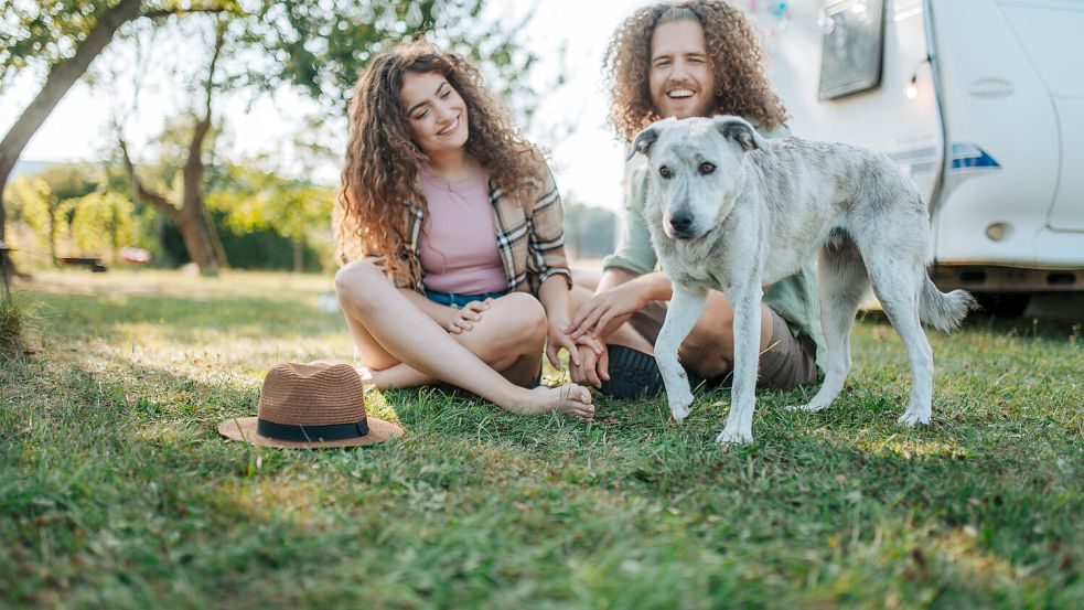 Campingurlaub ohne den geliebten Vierbeiner ist für viele Menschen unvorstellbar. Und mit der richtigen Planung wird der Trip auch für den Hund ein unvergessliches Erlebnis. Foto: www.imago-images.de