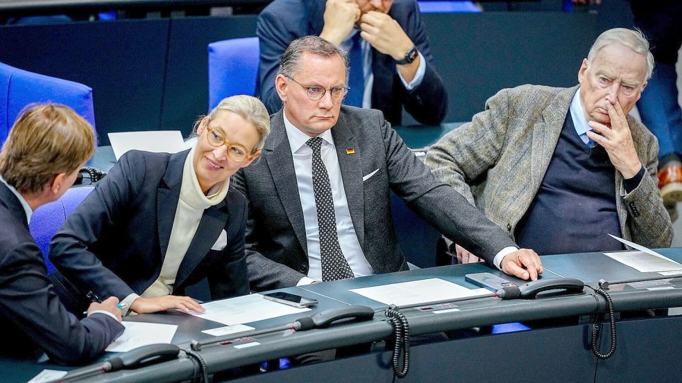Die AfD strebt offenbar eine kritischere Haltung gegenüber Russland an. Vor allem Parteichefin Alice Weidel soll den Kurs vorantreiben. Foto: dpa/Kay Nietfeld