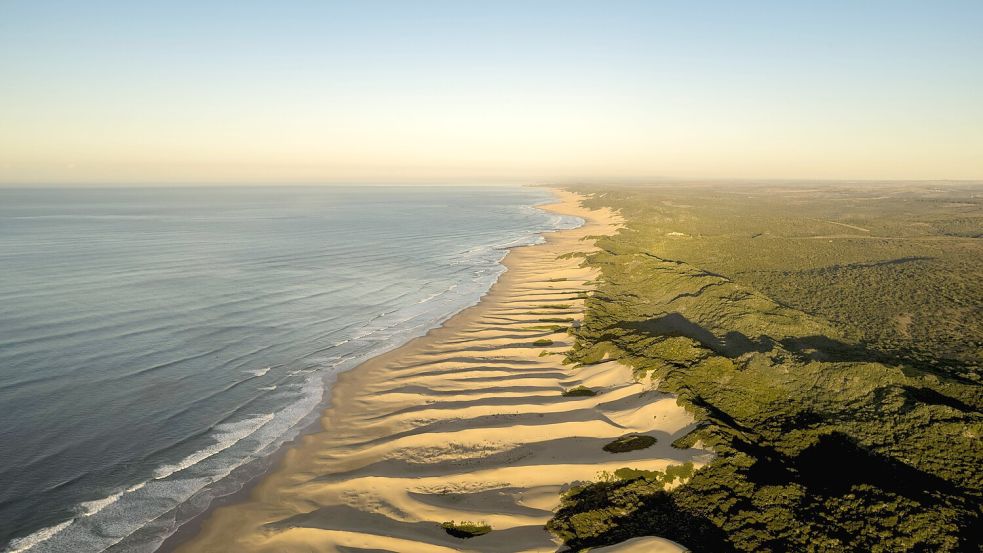 Die südafrikanische Provinz Ostkap hat eine vielfältige Natur zu bieten. Die CDU-Landesfraktion hat jedoch offenbar wenig Zeit für die Landschaft, denn sie muss in sechs Tagen 20 Programmpunkte absolvieren. Foto: IMAGO/imagebroker