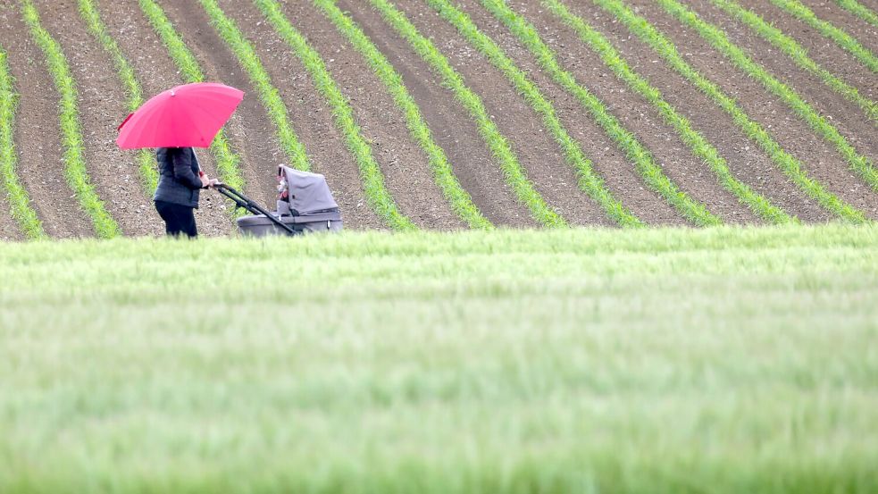 Am Samstag könnten sich bereits wieder einige starke Gewitter über der Mitte Deutschlands bilden. Foto: Thomas Warnack/dpa