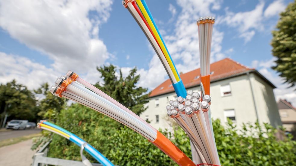 Beim Netzausbau soll es nach dem Willen der Bundesregierung schneller gehen. Foto: Jan Woitas/dpa/dpa-tmn
