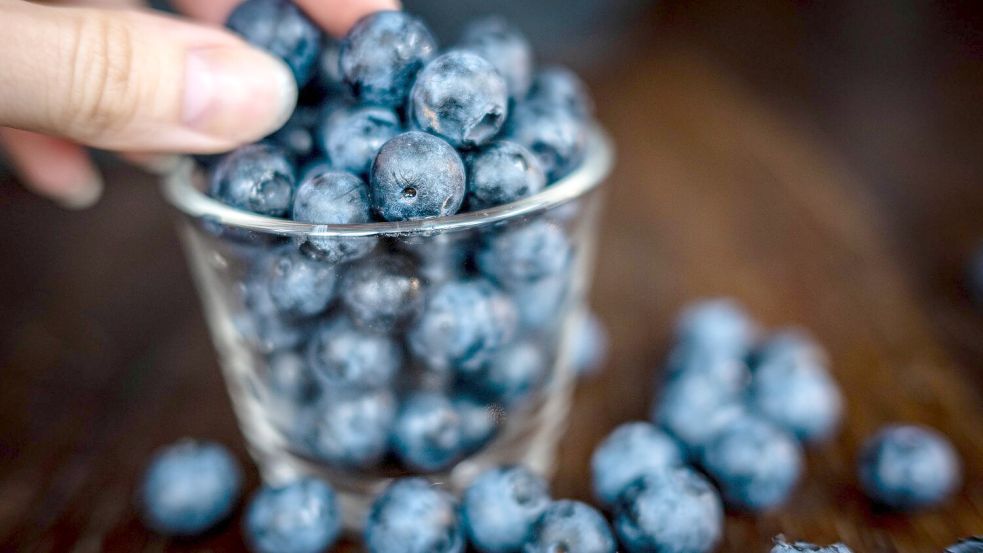 Klein, blau, erfolgreich als Snack: die Heidelbeere. Sie boomt immer noch. (Archivfoto) Foto: Sina Schuldt/dpa