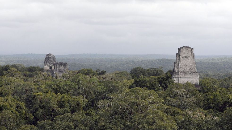 In der Nähe der Unesco-Weltkulturerbestätte Tikal wurde eine rund 2.900 Jahre alte Maya-Stätte entdeckt. Foto: Sandra Sebastian/EFE via epa/dpa