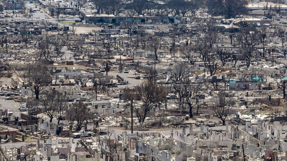 Eine neue Steuer soll Projekte finanzieren, die die Natur schützen und den Klimawandel bekämpfen. (Archiv) Foto: Jae C. Hong/AP/dpa