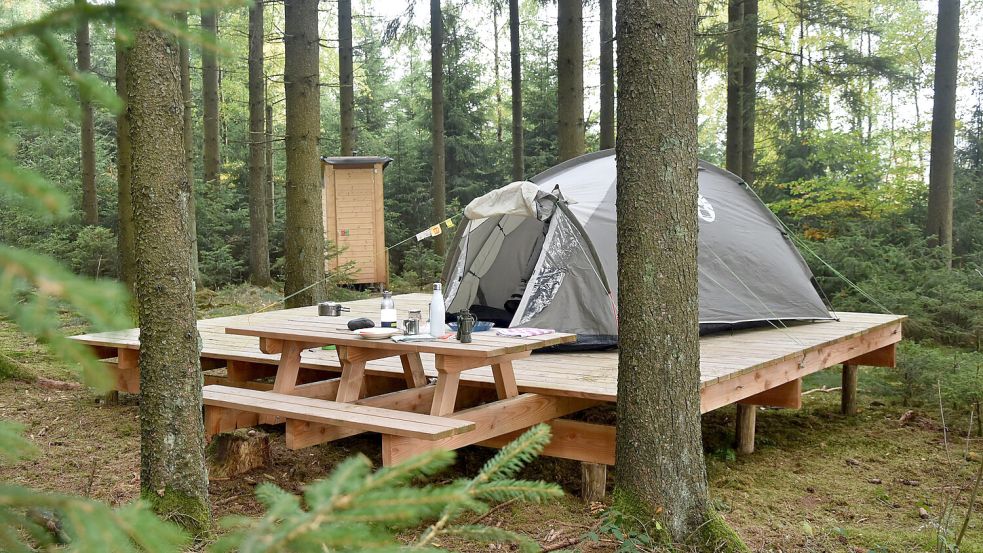 Auf manchen Trekking-Plätzen werden die Zelte auf einer Holzplattform aufgeschlagen, wie hier im Nationalpark Eifel. Foto: dpa/Rheinland-Pfalz Tourismus