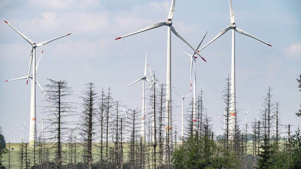 Ein Windpark in Lichtenau, östlich des Naturparks Teutoburger Wald. Foto: IMAGO/Jochen Tack