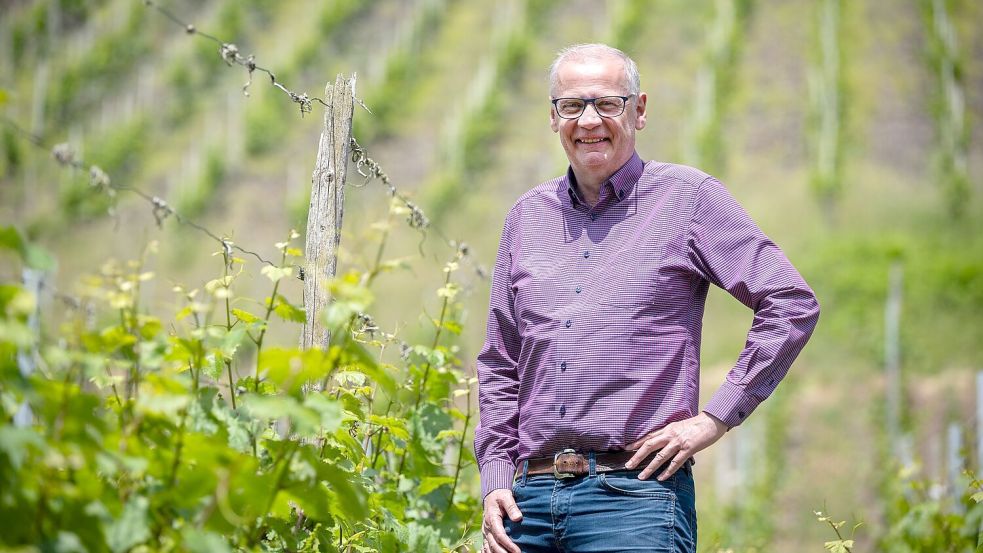 In den Weinbergen wächst ausschließlich Riesling. Foto: Harald Tittel/dpa