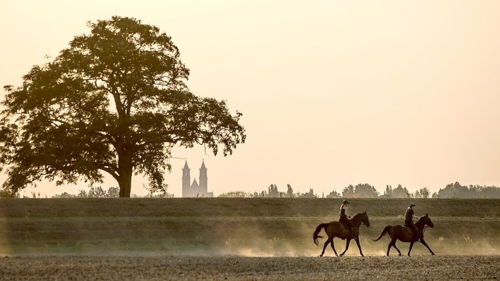 Rauch aus Kanada kann die Luft trüb wirken lassen und zu spektakulären Sonnenuntergängen führen. (Illustration) Foto: picture alliance / dpa