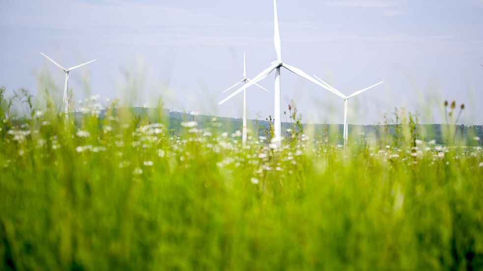 Bis zum Jahr 2040 will Jemgum zumindest bilanziell klimaneutral werden. Ohne Windkraft ist das kaum zu schaffen. Foto: Julian Stratenschulte/dpa