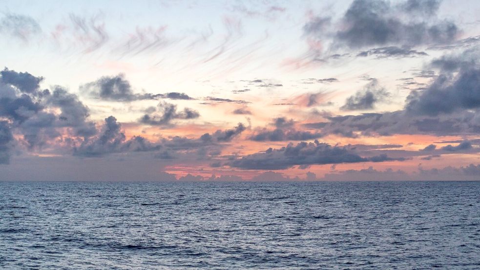 Untersucht wurde eine Region nördlich von Hawaii, die sogenannte Nordpazifische Übergangszone. Foto: Ryan Tabata/University of Hawaii at Manoa/dpa