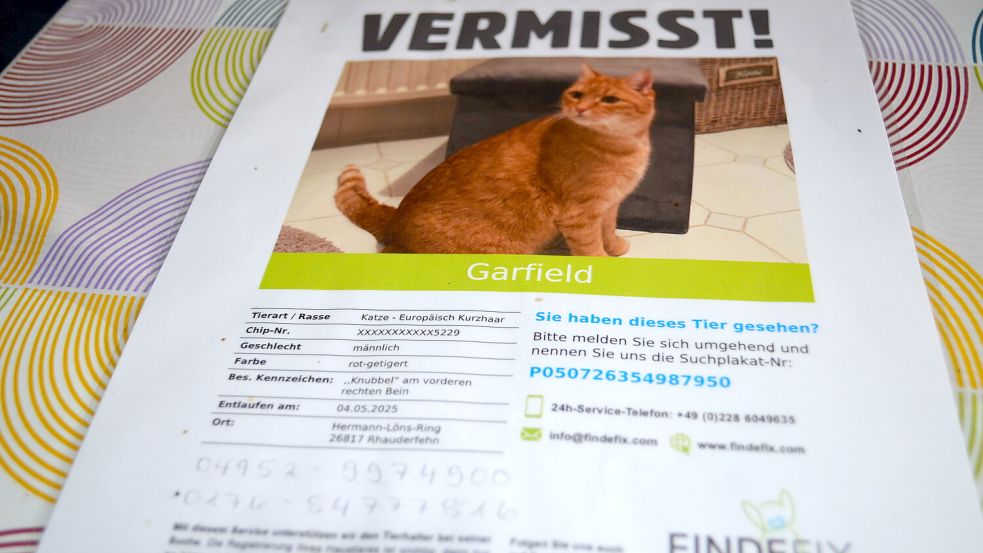 Mit diesem Aufruf hatte Familie Franck aus Rhaudermoor nach ihrem Kater Garfield gesucht, nachdem das Tier am 4. Mai nicht nach Hause zurückgekehrt war. Foto: Astrid Fertig