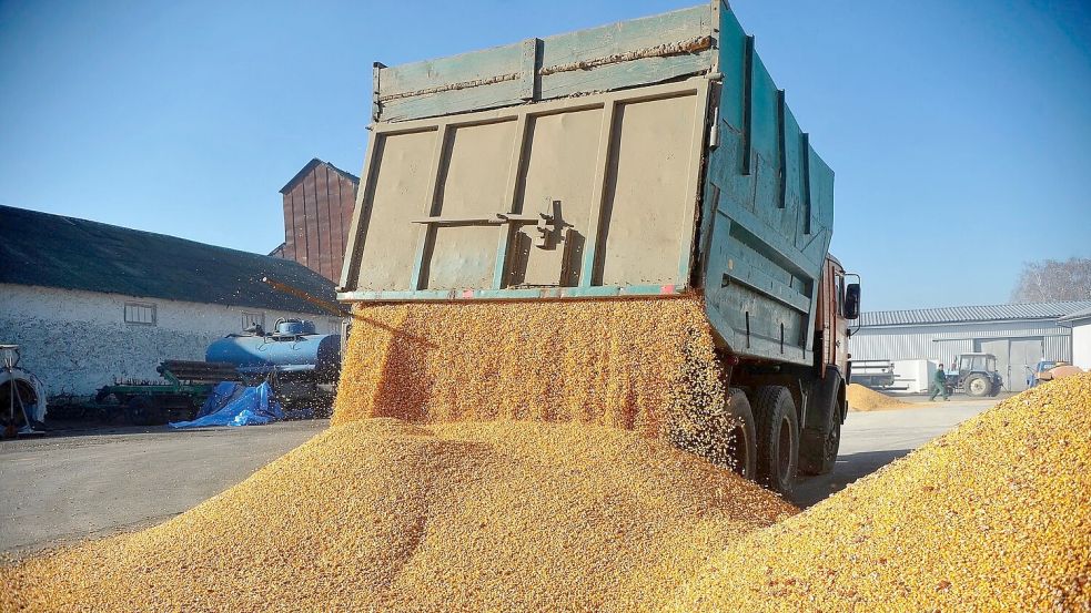 Agrarexporte der Ukraine haben für Unmut bei Bauern in der EU gesorgt. (Archivbild) Foto: ---/Ukrinform/dpa