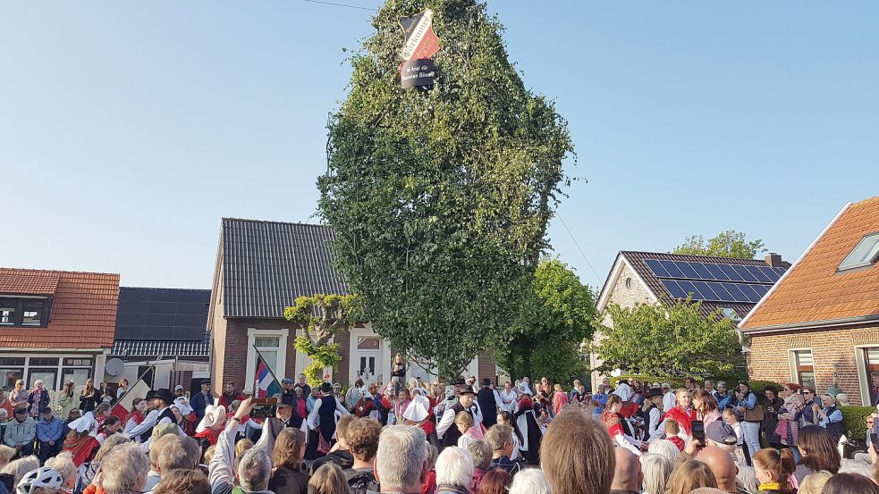 Immer ein großes Spektakel an Pfingstsamstag ab 18.30 Uhr: Tanz und Musik auf dem Maibaumplatz in der Süderstraße. Foto: Geeske Kauf/Archiv