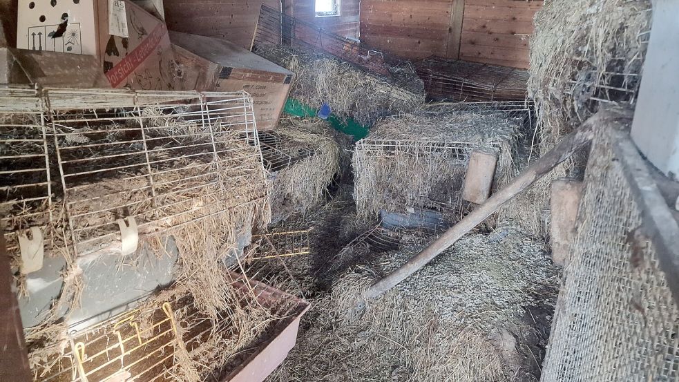 Überall verdreckte Käfige: Dass aus dieser Gartenlaube noch lebende Tiere gerettet werden konnten, grenzt für die Mitarbeiter des Schleswiger Tierschutzvereins an ein Wunder. Foto: privat