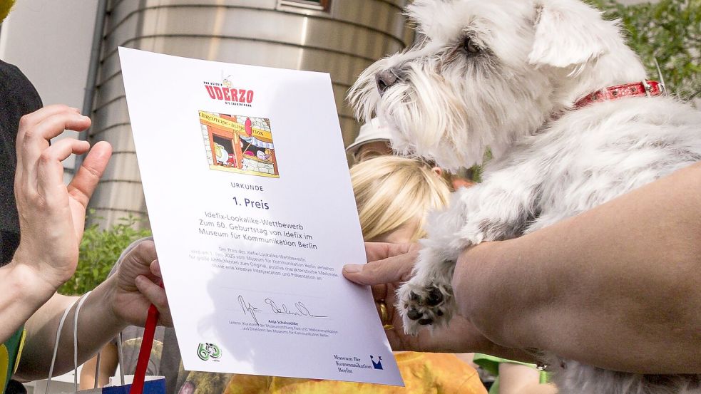 Der beste Idefix-Doppelgänger? Sieger-Hund Polly erhielt die Idefix-Lookalike-Contest-Urkunde. (Archivbild) Foto: Carsten Koall/dpa
