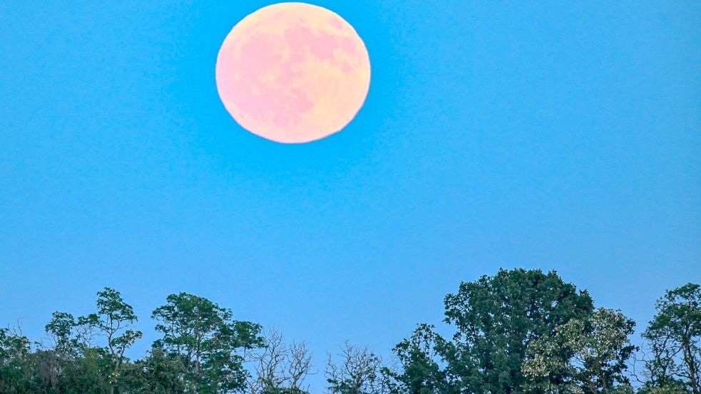 Blassroter Mond am Abendhimmel. (Archivbild) Foto: Patrick Pleul/dpa