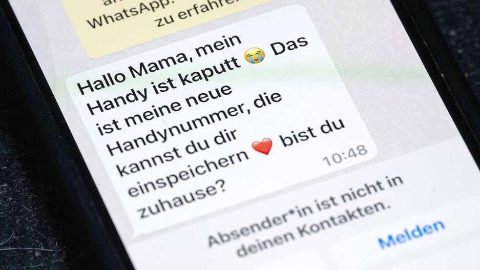 Meist agieren die Täter aus dem Ausland - mit Hilfe von Menschen vor Ort. (Symbolbild) Foto: Sebastian Gollnow/dpa
