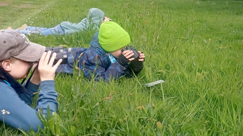 Ausgerüstet mit Ferngläsern legen sich die Kinder auf die Lauer, um heimische Vögel zu beobachten und zu zählen. Foto: privat