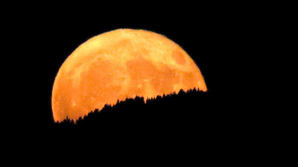 In Oberbayern wirkte der aufgehende Erdbeermond hinter dunklen Wäldern besonders groß. Foto: Karl-Josef Hildenbrand/dpa