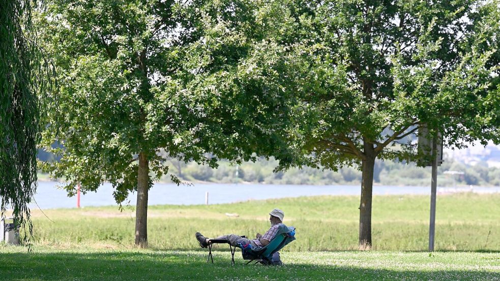 Ein Mann hat sich ein schattiges Plätzchen am Ufer des Rheins in Leverkusen gesucht. (Archivbild) Foto: Roberto Pfeil/dpa