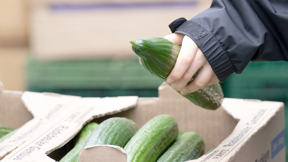Nahrungsmittel haben sich erneut überdurchschnittlich verteuert Foto: Sebastian Kahnert/dpa
