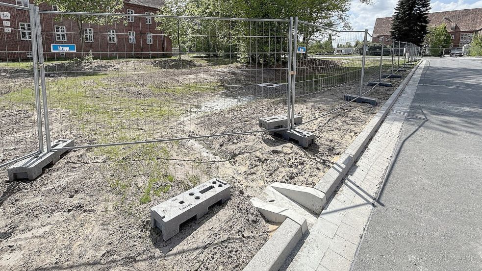 In den Bordsteinen sind Abläufe für Niederschlagswasser verbaut worden, damit das Wasser, das auf der Straße anfällt, direkt in die Beete geleitet wird. Foto: Karin Böhmer