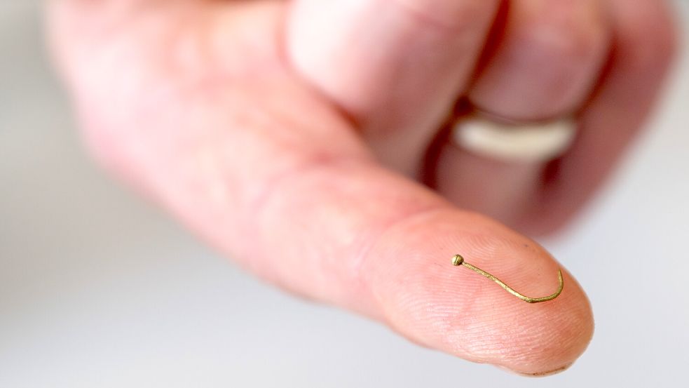 Diese kleine Nadel wurde im Garrelschen Garten gefunden. Foto: Ostfriesische Landschaft