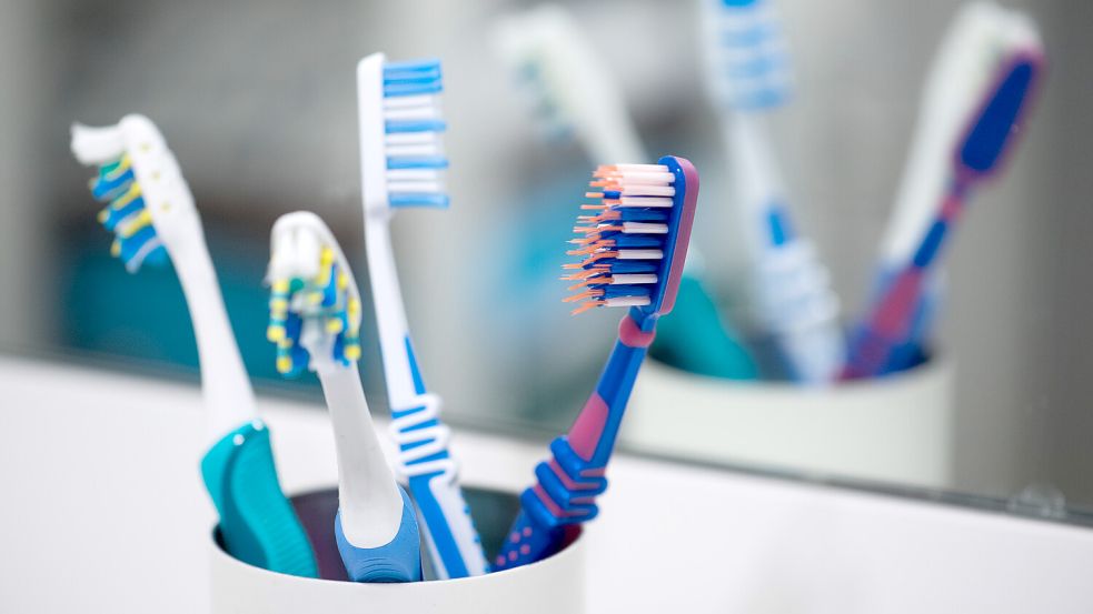 Um eine optimale Mundhygiene zu gewährleisten, sollte die Zahnbürste regelmäßig gewechselt werden. Foto: dpa/Andrea Warnecke