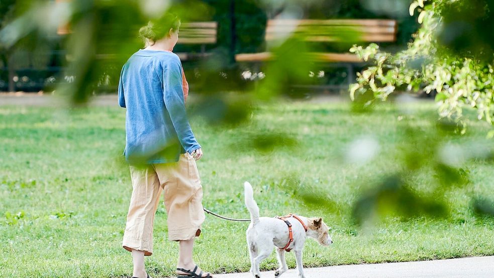 Vierbeiner als Schritt-Motivator: Wer einen Hund hält, macht durch das mehrmals tägliche Gassigehen automatisch mehr Schritte. (Illustration) Foto: Annette Riedl/dpa