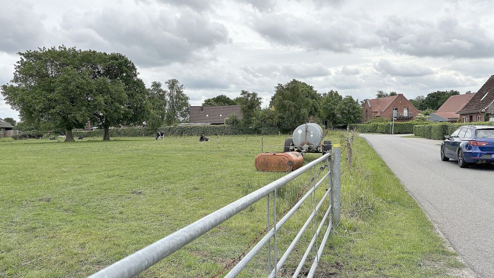 Auf der Weide soll auf einem guten halben Hektar ein Neubaugebiet mit acht Gebäuden entstehen. Anwohner befürchten, dass künftig Autos am Boomweg parken könnten. Foto: Mieke Matthes