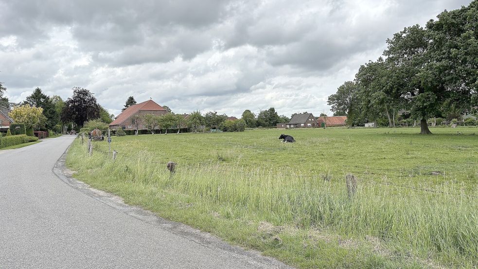 Bislang, so sagen Anwohner, stehe die Weide bei starkem Regen oft unter Wasser. Foto: Mieke Matthes