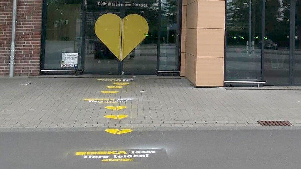 Vor drei Emder Edeka-Märkten wurde auf den Boden gesprüht: „Edeka lässt Tiere leiden!“ Fotos: Greenpeace