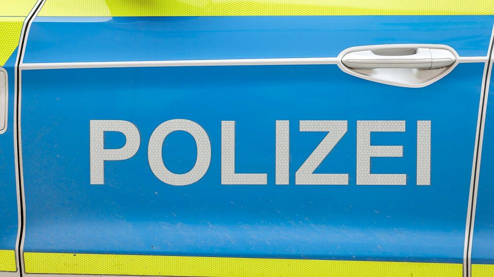 Die Polizei sucht am Geiseltalsee in Sachsen-Anhalt nach einer Großkatze. (Symbolbild) Foto: Jan Woitas/dpa