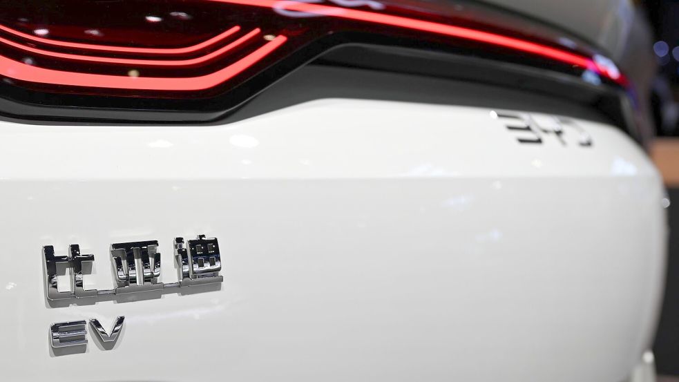 BYD aus China verkaufte 2024 erstmals mehr E-Autos als der bisherige Marktführer Tesla. (Archivfoto) Foto: Johannes Neudecker/dpa