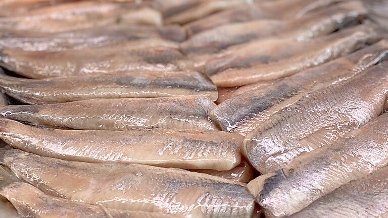 Die holländischen Matjes sind bei den Kunden des Fischhauses Ditzum aufgrund ihres milden und feinsalzigen Geschmacks sehr beliebt. Foto: privat