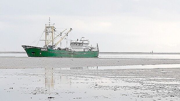 Ein Muschelkutter im Watt: In Hooksiel, in Greetsiel und in Norddeich wird noch Muschelfischerei betrieben. Foto: Niedersächsische Muschelfischer GbR