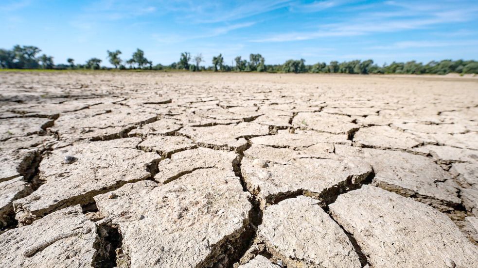 Eine neue Studie besagt, dass auf der Grundlage des derzeitigen CO2-Ausstoßes nur noch drei Jahre bis zur Überschreitung des 1,5 Grad-Ziels bleiben (Archivbild). Foto: Armin Weigel/dpa