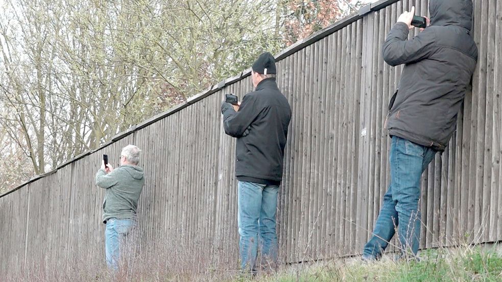 An Unfallstellen mit dem Handy draufhalten und filmen - ein Ärgernis für die Retter. (Symbolbild) Foto: Alexander Auer/dpa
