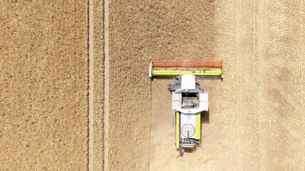 Mähdrescher rollen zur Ernte auf die ersten Äcker. (Archivbild) Foto: Sebastian Kahnert/dpa